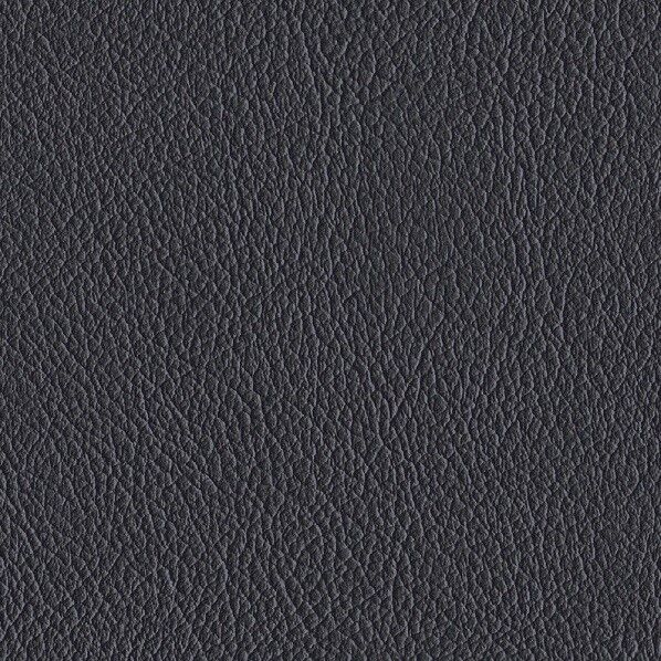 ファニシングレザー 椅子張りレザー オールマイティー 巾125cm L-6552 1m単位