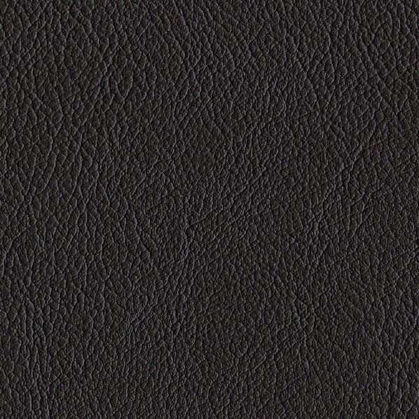 ファニシングレザー 椅子張りレザー オールマイティー 巾125cm L-6564 1m単位