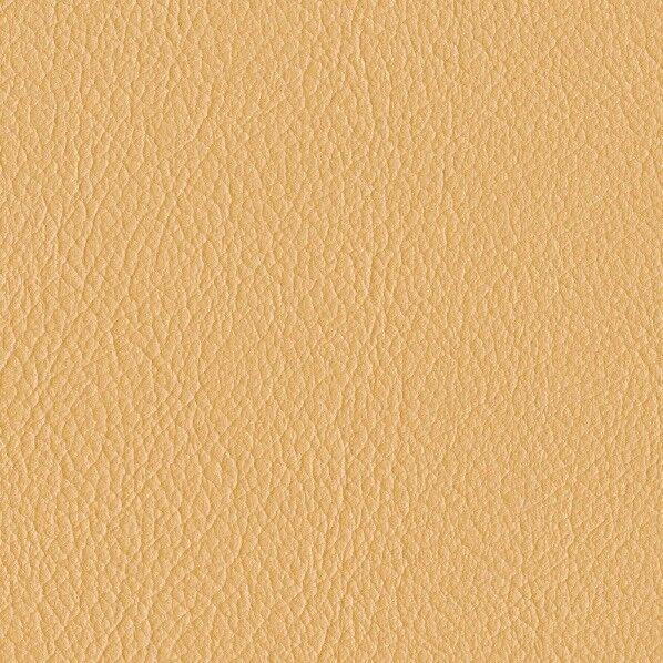 ファニシングレザー 椅子張りレザー オールマイティー 巾125cm L-6591 1m単位