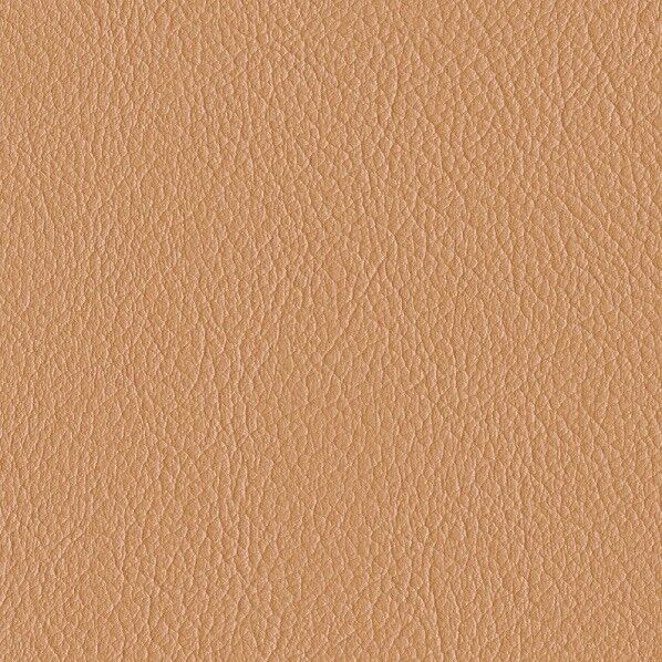 ファニシングレザー 椅子張りレザー オールマイティー 巾125cm L-6597 1m単位