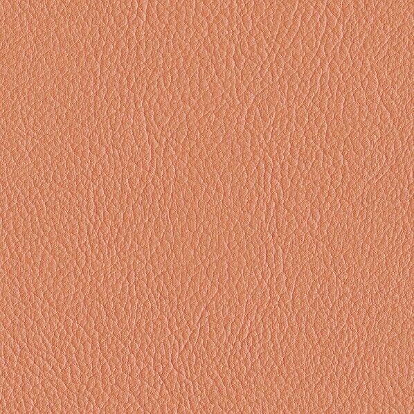 ファニシングレザー 椅子張りレザー オールマイティー 巾125cm L-6598 1m単位