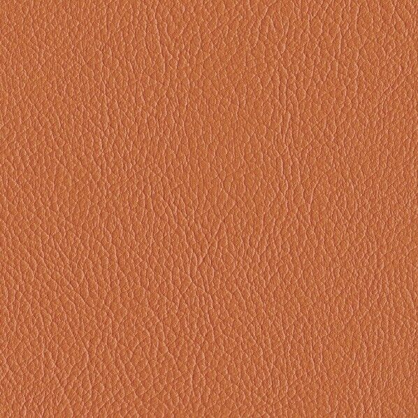 ファニシングレザー 椅子張りレザー オールマイティー 巾125cm L-6604 1m単位