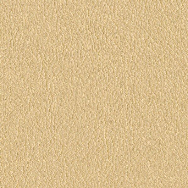 ファニシングレザー 椅子張りレザー オールマイティー 巾125cm L-6585 1m単位