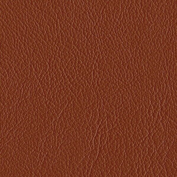 ファニシングレザー 椅子張りレザー オールマイティー 巾125cm L-6606 1m単位