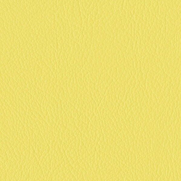 ファニシングレザー 椅子張りレザー オールマイティー 巾125cm L-6573 1m単位