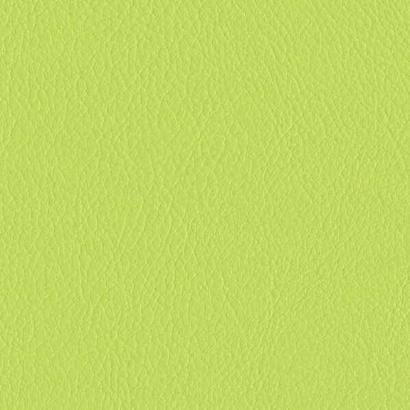 ファニシングレザー 椅子張りレザー オールマイティー 巾125cm L-6620 1m単位