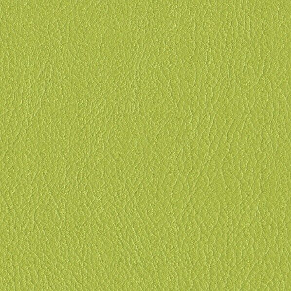 ファニシングレザー 椅子張りレザー オールマイティー 巾125cm L-6626 1m単位