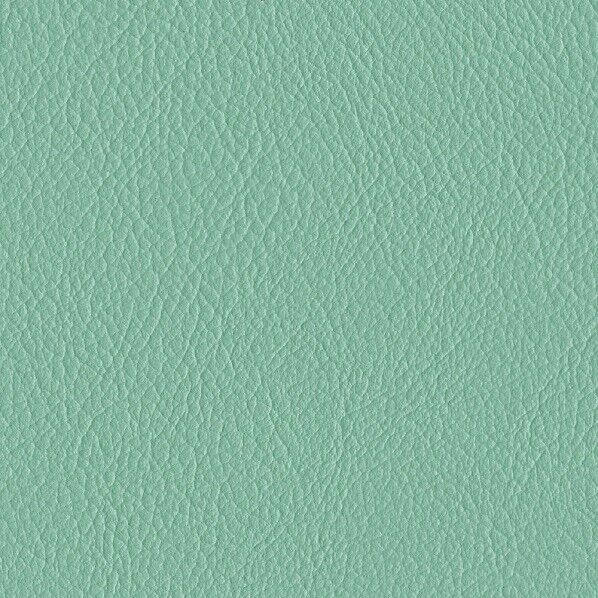 ファニシングレザー 椅子張りレザー オールマイティー 巾125cm L-6618 1m単位