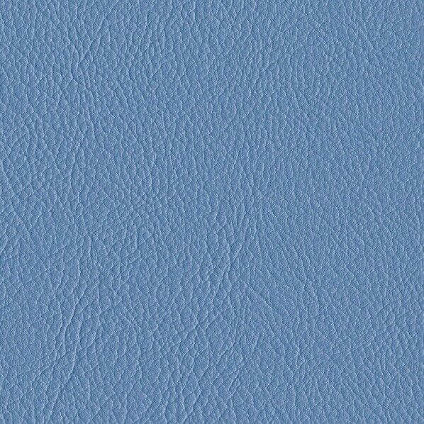 ファニシングレザー 椅子張りレザー オールマイティー 巾125cm L-6621 1m単位