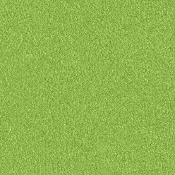 ファニシングレザー 椅子張りレザー オールマイティー 巾125cm L-6625 1m単位