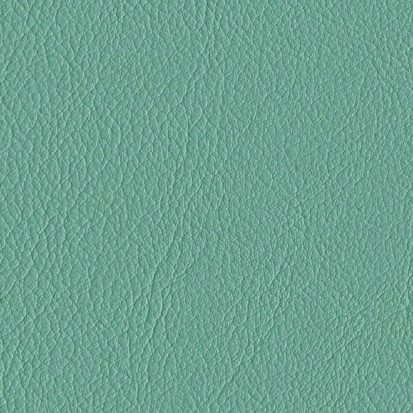 ファニシングレザー 椅子張りレザー オールマイティー 巾125cm L-6624 1m単位