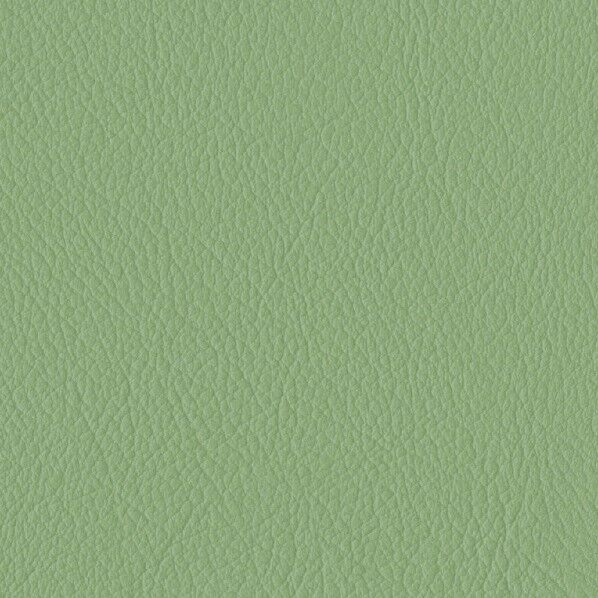 ファニシングレザー 椅子張りレザー オールマイティー 巾125cm L-6638 1m単位