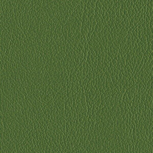 ファニシングレザー 椅子張りレザー オールマイティー 巾125cm L-6644 1m単位