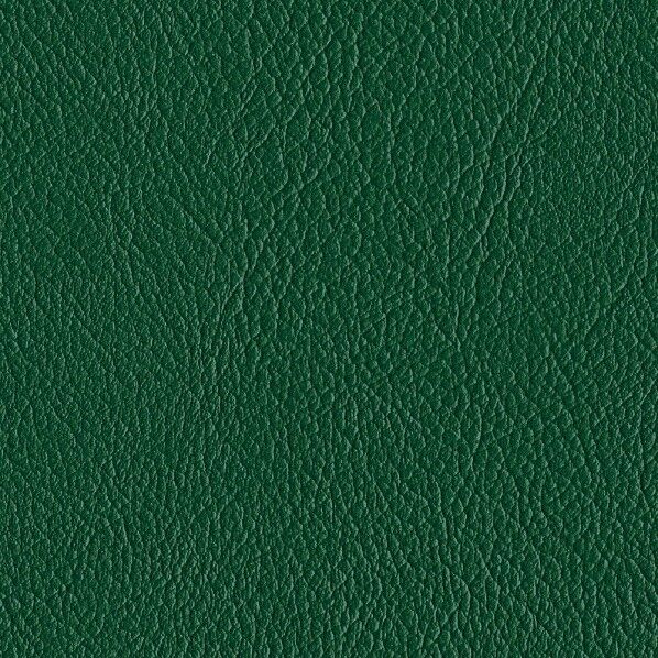 ファニシングレザー 椅子張りレザー オールマイティー 巾125cm L-6643 1m単位