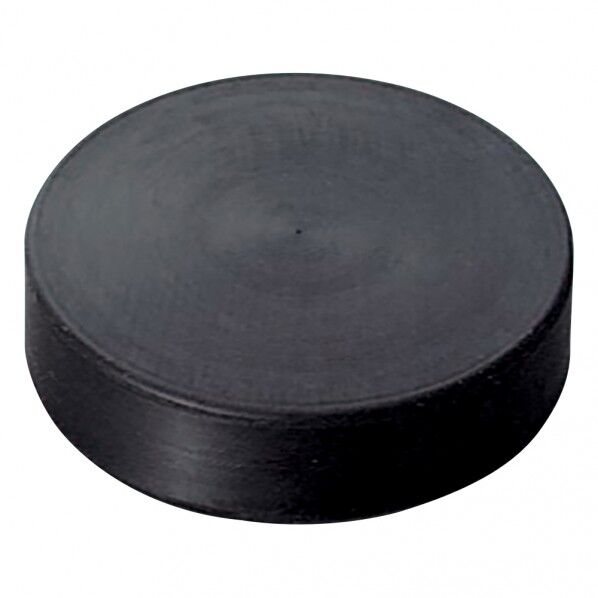 回転子固定マグネット