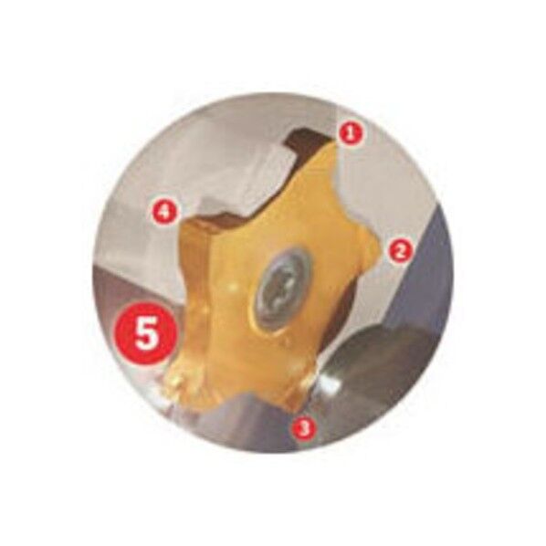 ペンタカット チップ