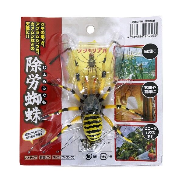除労蜘蛛