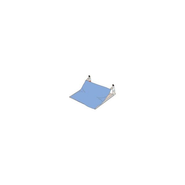 スポーツシート10×10M