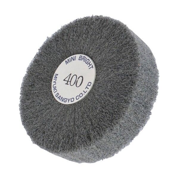 ブライトミニ100X25X6400#