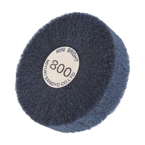 ブライトミニ100X25X6800#