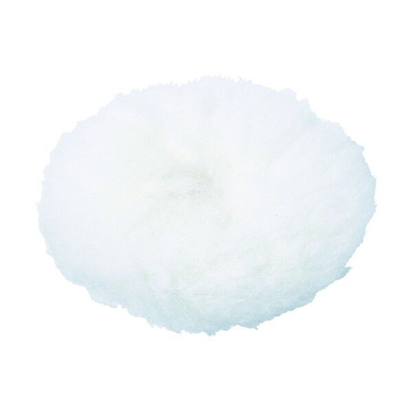 スリーエム ナチュラルバフィングパッド PN31470 外径75mm PN31470 8363360 便利グッズ(文具・OA機器) 1個 x 10点...