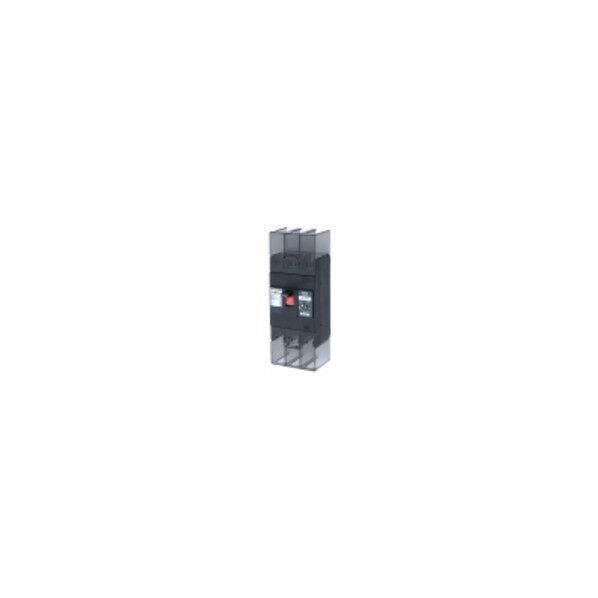 Eシリーズ 経済タイプ 漏電遮断器 OC付 222EA20W2L 1