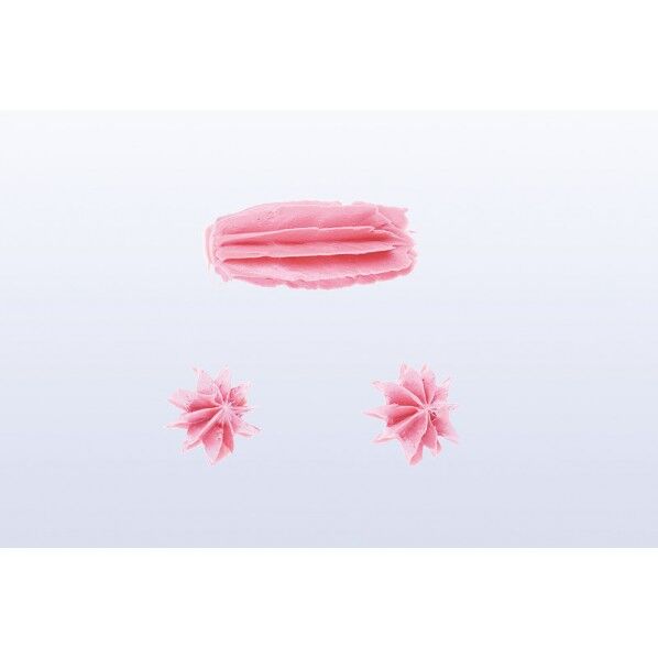 Ateco口金 ディープカット 花 10切 #858 480206