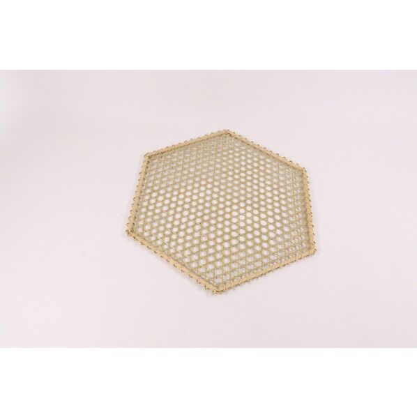 ふかひれムシ網(上) A×Bmm:450×235 1点