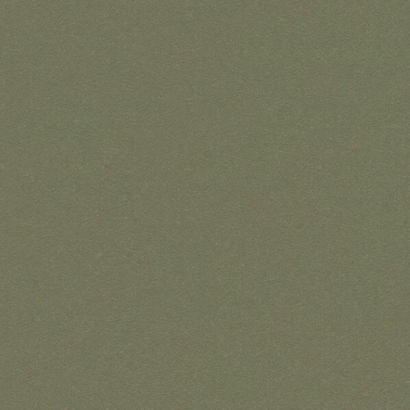 壁紙 ファイン カラーセレクション