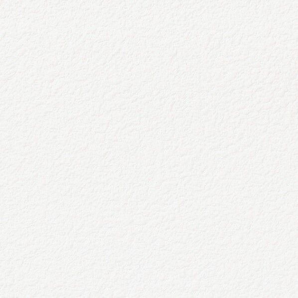 抗ウイルス壁紙 ファイン