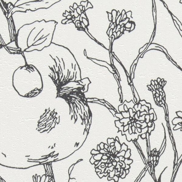 フィルム汚れ防止壁紙 ファイン