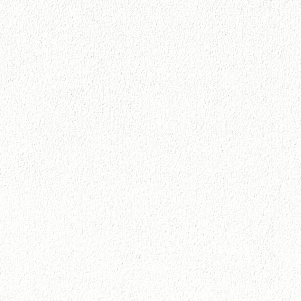 プロジェクター用壁紙 ファイン