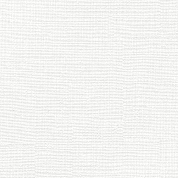 プロジェクター用壁紙 スーパー耐久性 ファイン