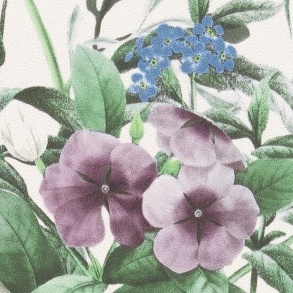 壁紙 ファイン NATURAL&BOTANICAL ナチュラル･ボタニカル