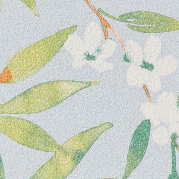 壁紙 ファイン NATURAL&BOTANICAL ナチュラル･ボタニカル