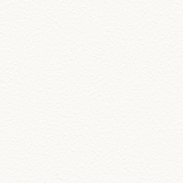 壁紙 ファイン モリス クロニクルズ プレーンズ パレット