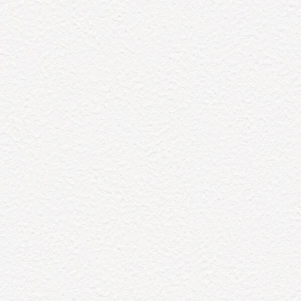 壁紙 ファイン モリス クロニクルズ プレーンズ パレット