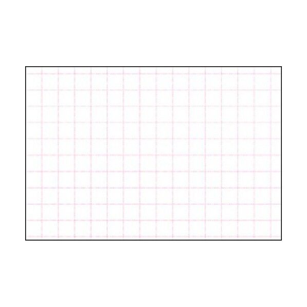 POP ショーカード 大 アミ目入 無字 1705308