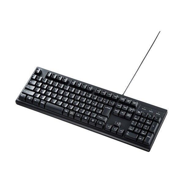 ※法人専用品※サンワサプライ 日本語109キーボード ブラック SKB-109PBK 1セット...