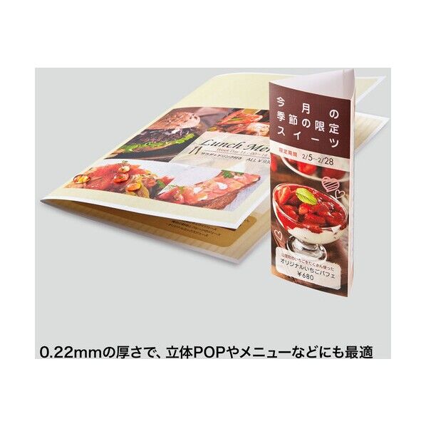 カラーレーザー用 耐水紙･特厚