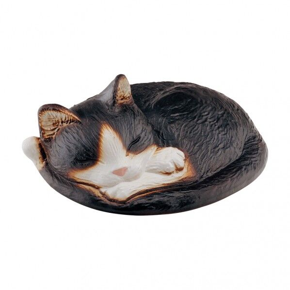 ぬらさにゃいで(ハチ)