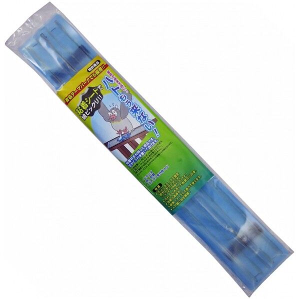 ハトもう来ない
