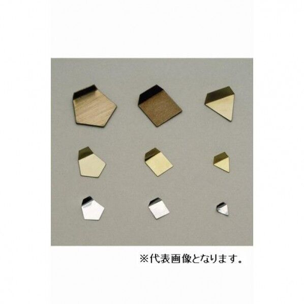 :板状分銅 OIML型(非磁性ステンレス) 100MG F2級 F2PSO-100M 1点