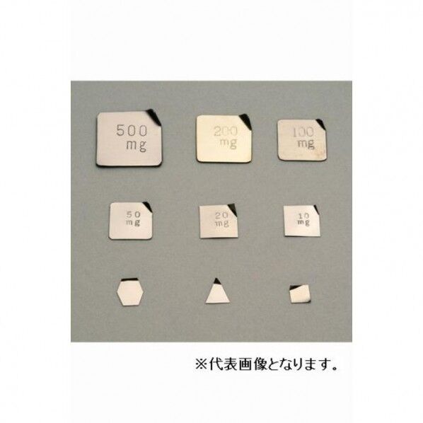 :板状分銅 基準分銅型(非磁性ステンレス) 500MG F2級 F2PSB-500M 1点