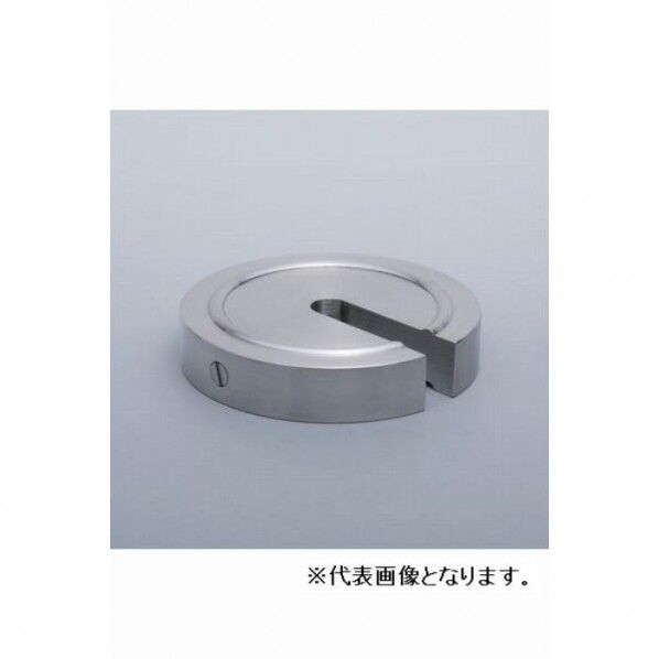 :増おもり型 非磁性ステンレス M2級 500G M2SS-500G 1点