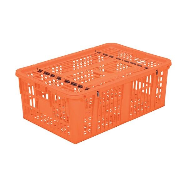 ※法人専用品※サンコー 鳥篭9型 オレンジ 800486 68L オレンジ 80048601OR308 1点...