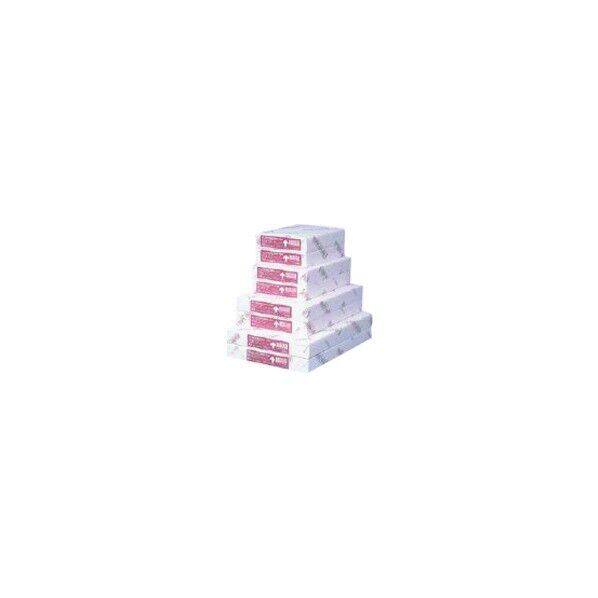)コピーペーパー 中性紙 B4-T 500枚×5 810230 2500点