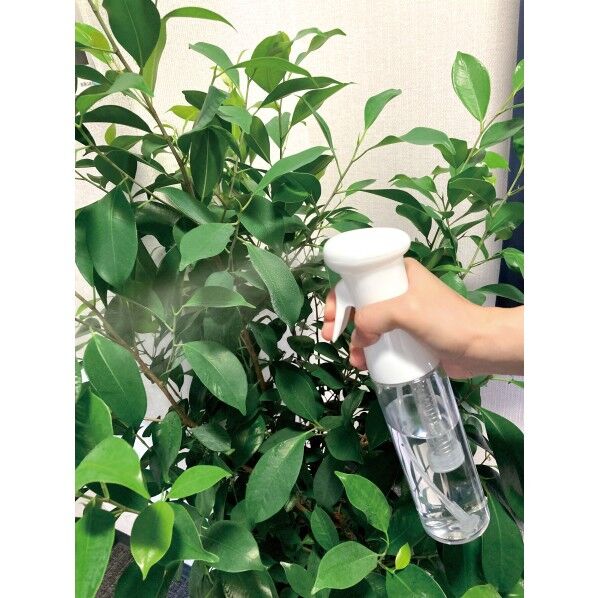 TAKAGI 細霧スプレー250ml 1個...