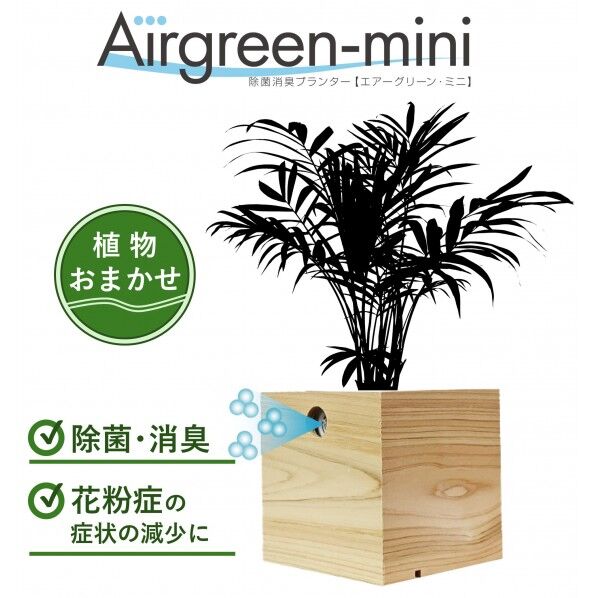 除菌消臭プランター【エアーグリーン･ミニ】 植物おまかせ 3号サイズ 付