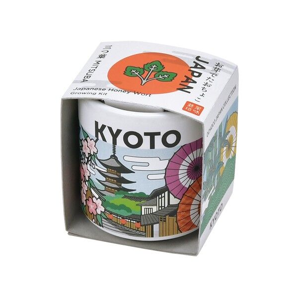 おちょこ 京都/三つ葉